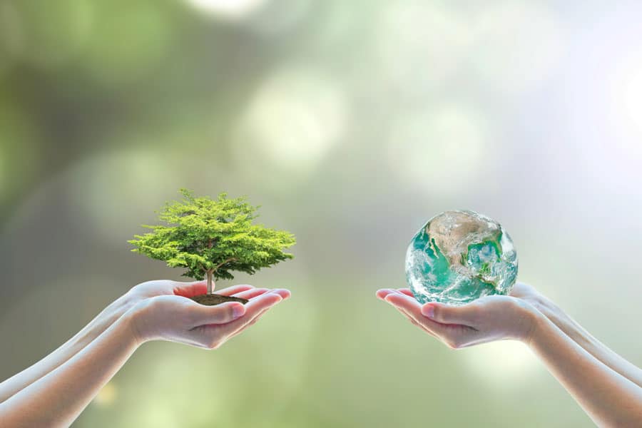 environmentally sustainable business approach