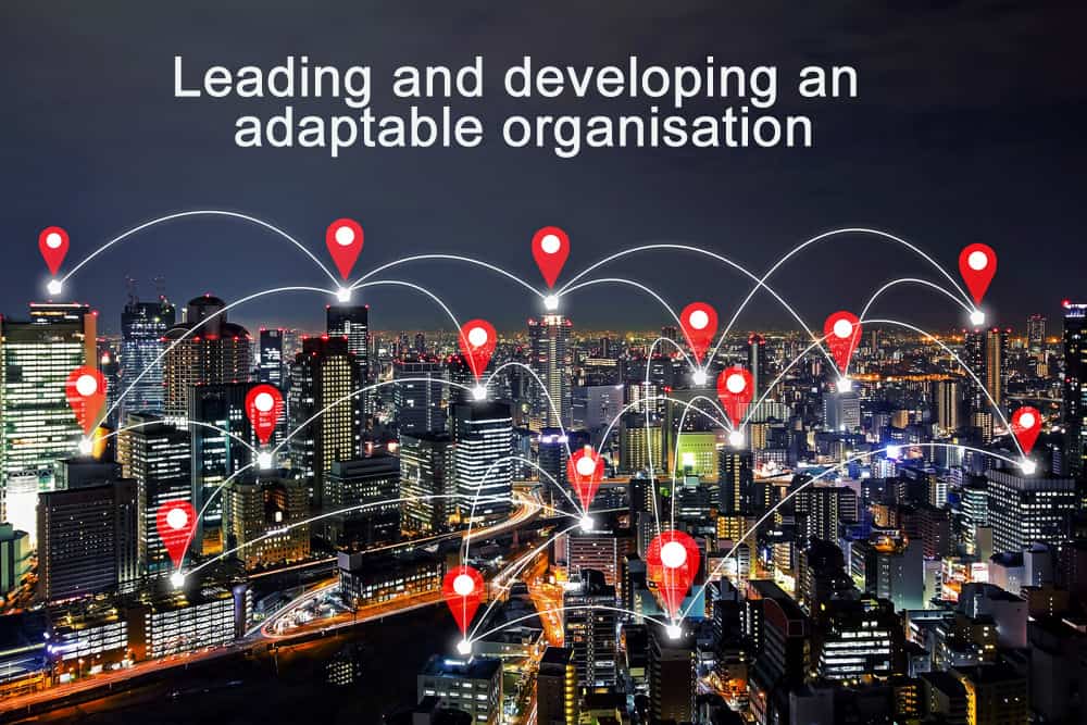 How to lead and develop an adaptable organisation