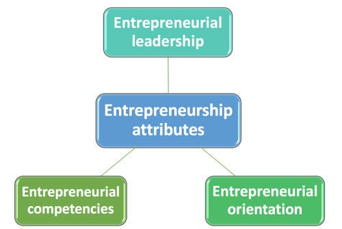 Entrepreneurial attributes