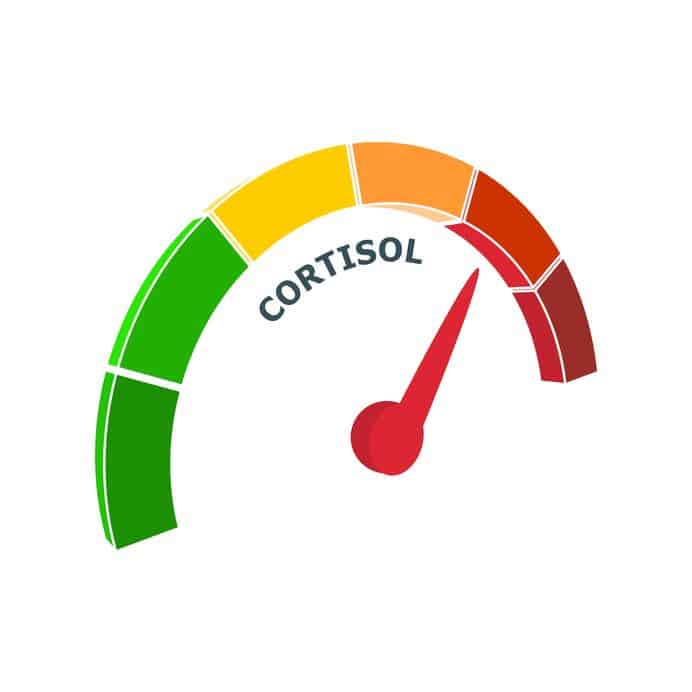 cortisol level